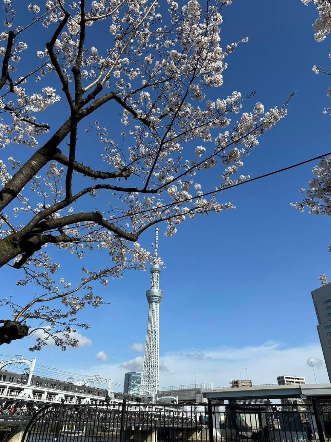 東京雷門ー千の森asakusa 도쿄 외부 사진